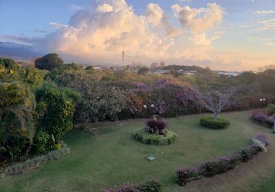 哥斯达黎加的黄昏, 前景是草和树，背景是滚滚的云